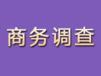 攀枝花商务调查